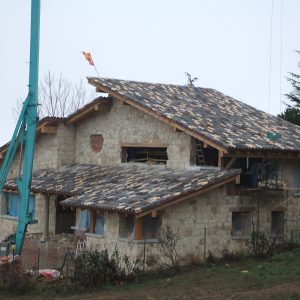 obra nueva carfia
